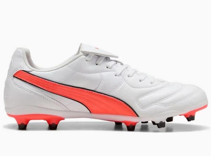 PUMA picture