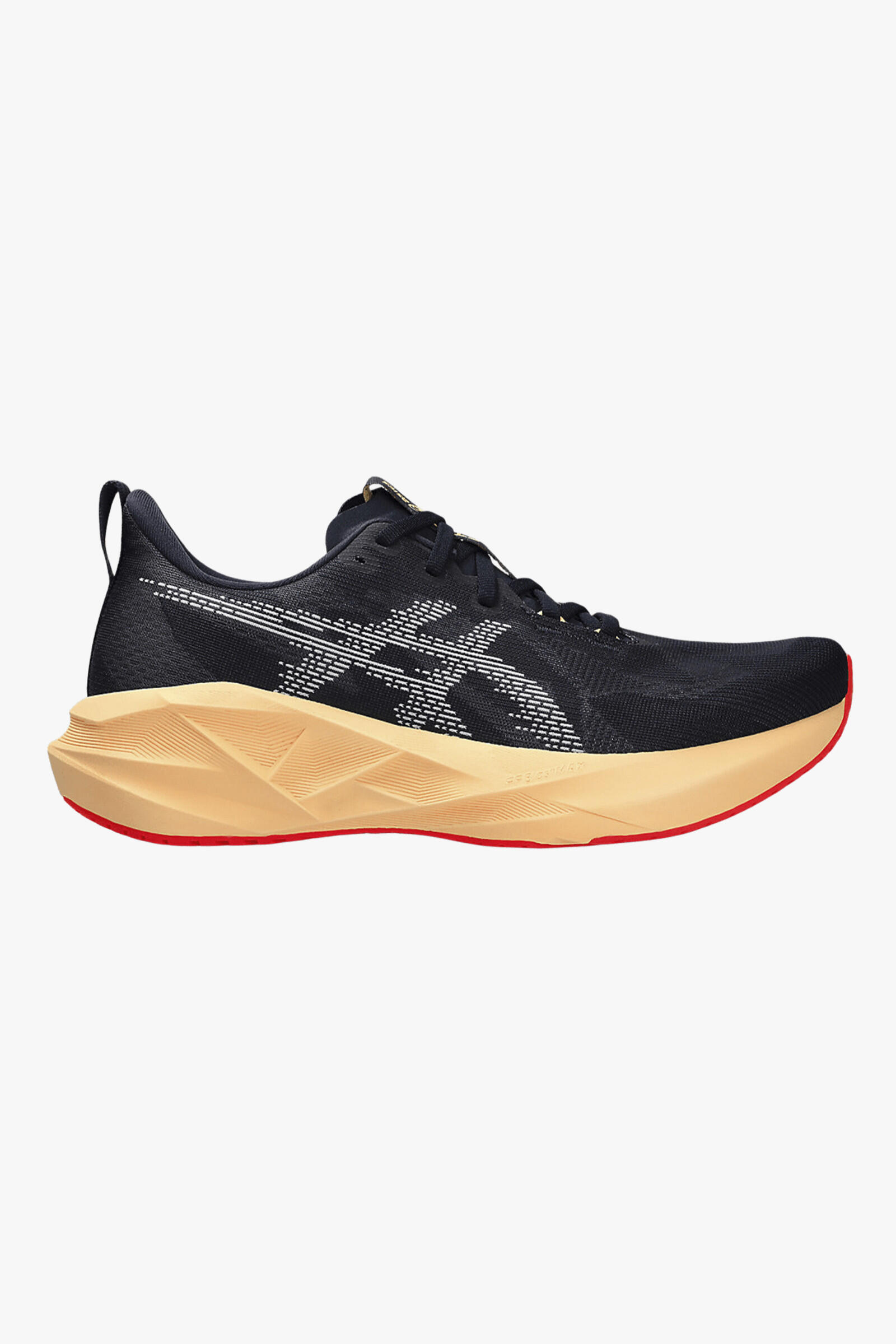 ASICS picture