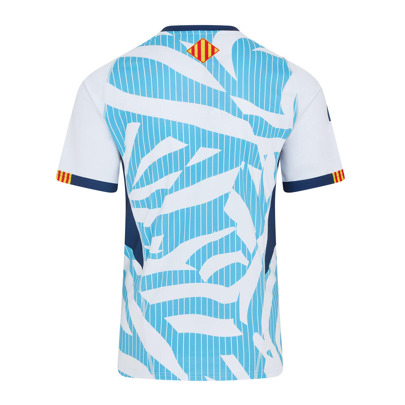 Offizielles Aufwärmshirt Usap Auswärts 25/26 2/4