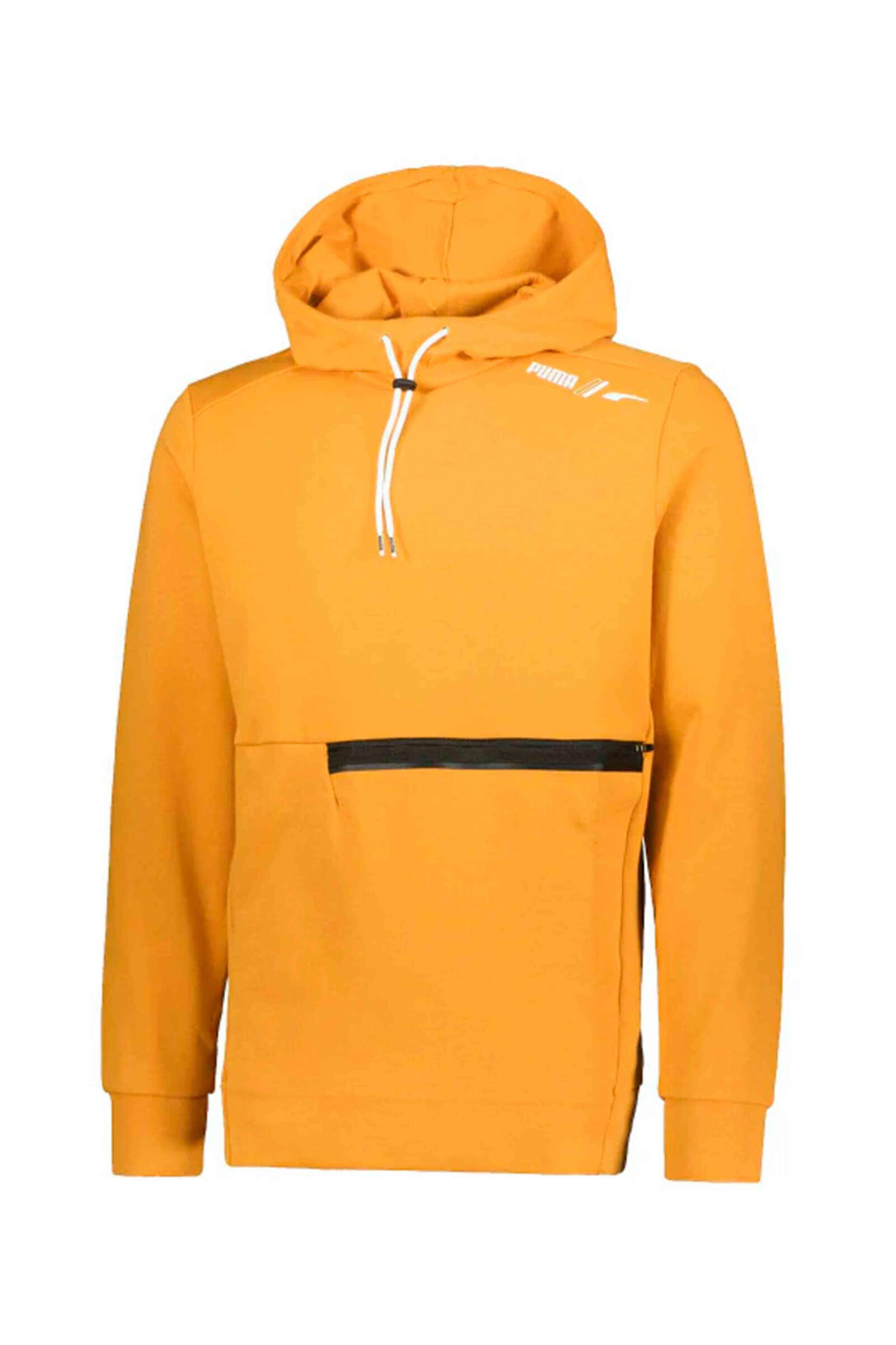 PUMA picture