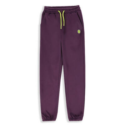 Joggingbroek fleece voor wandel kinderen zl4