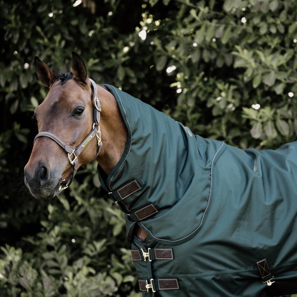 Coperta impermeabile da esterno Kentucky All Weather Pro 160 g 4/5
