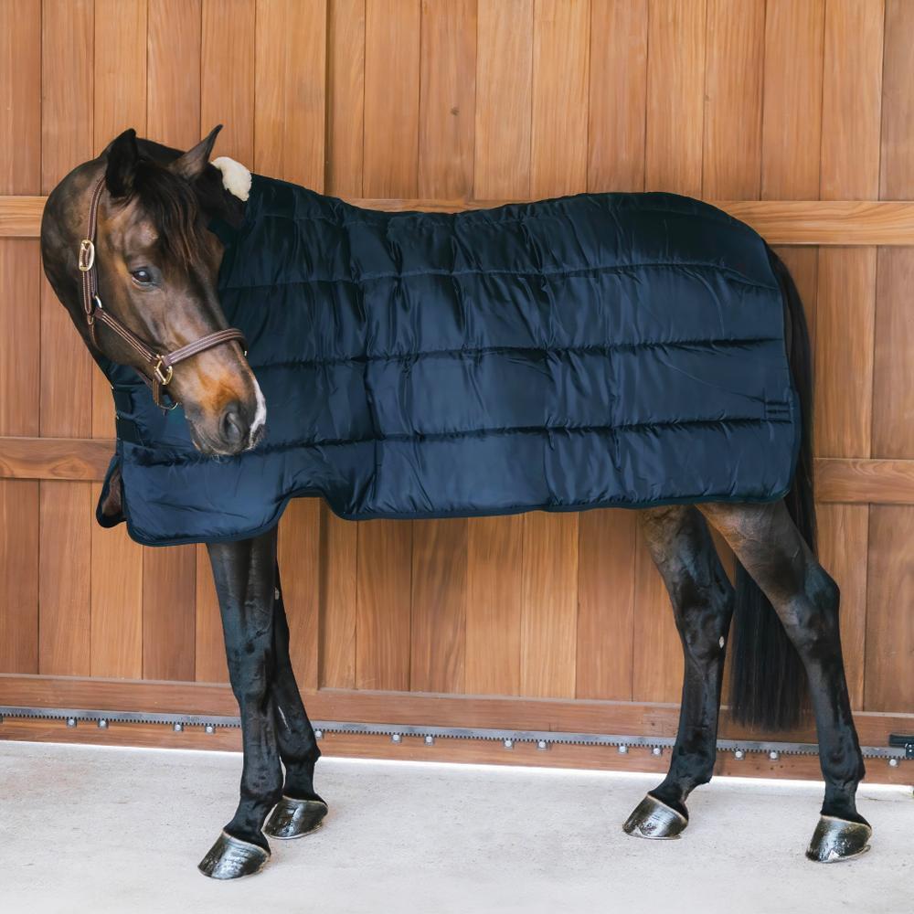 Coperta da paddock per cavalli Kentucky Pro 400g 4/7