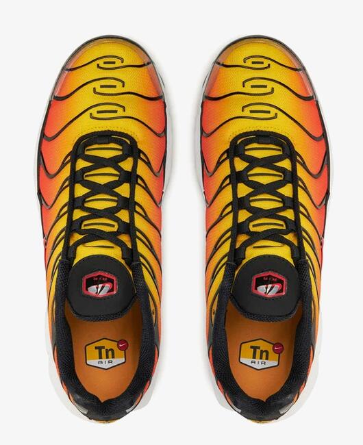 Zapatillas  Air Max Plus Sunset (2024) 5/6