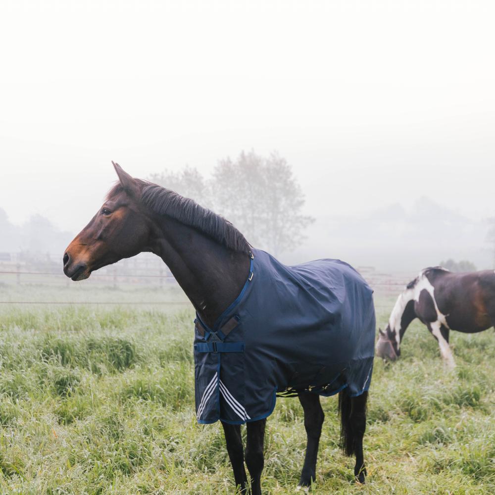 Manta impermeable y cómoda para todo tipo de clima para caballos Kentucky 200g 5/7