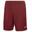 Sort Joma Nobel, Visinei, L