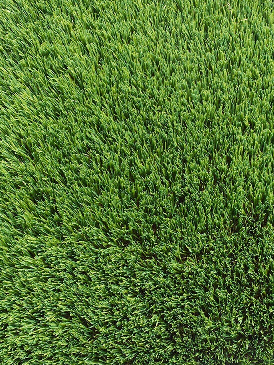 Césped Artificial Miami 50mm - Estera decorativa de Hierba Artificial 3/5