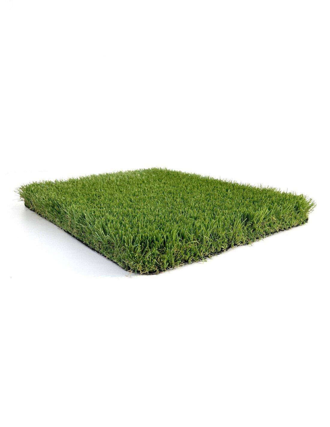 JARDIN202 picture