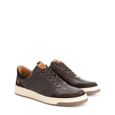 Darley heren - sneakers - leer - donkerbruin