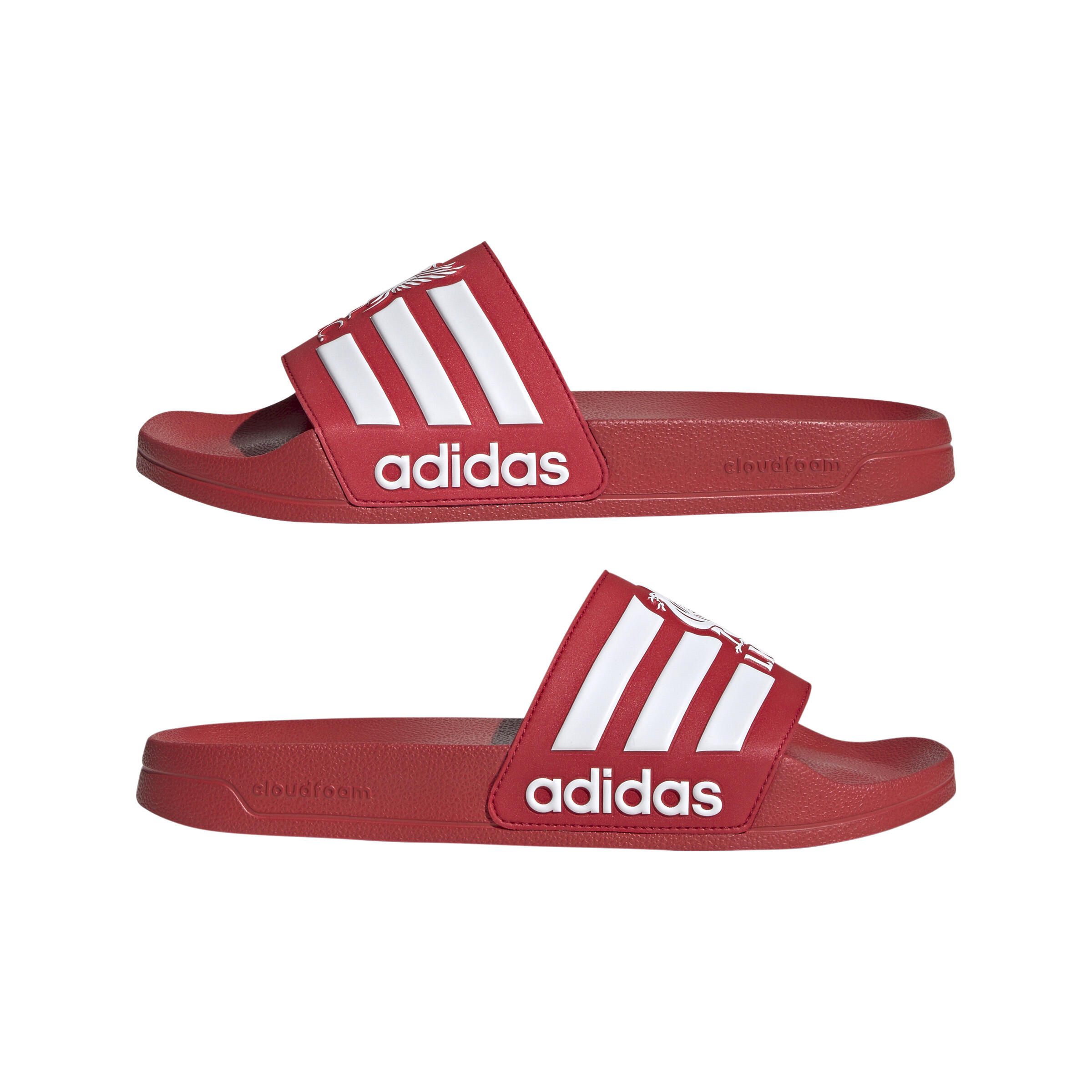 Sandales adilette Liverpool FC 2025/26 3/7