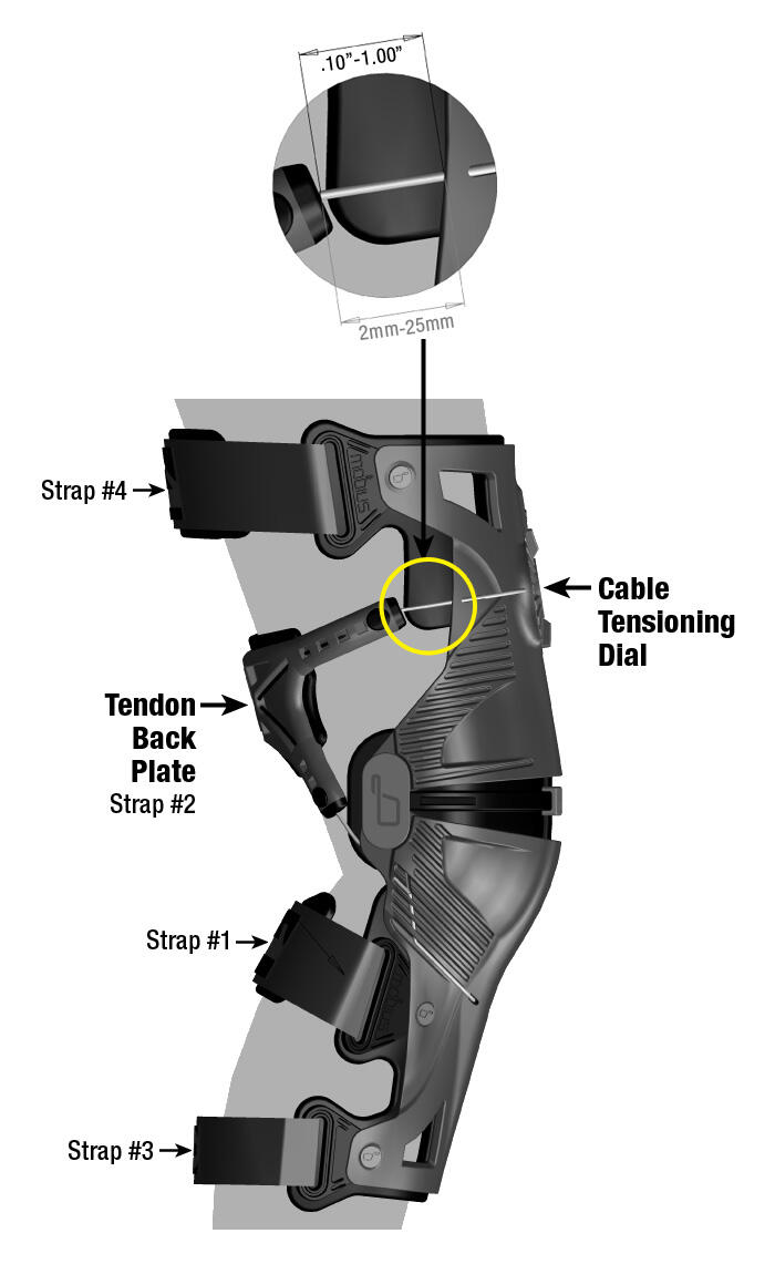 Ortesis MOBIUS X8 (par) - gris/negro - grande 6/6
