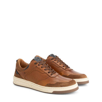 Darley heren - sneakers - leer - cognac