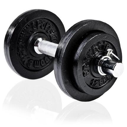 Dumbbell korte halter 10 kg