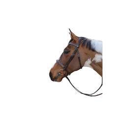Bridons équitation muserolle combinée anatomique Dy'on Hunter