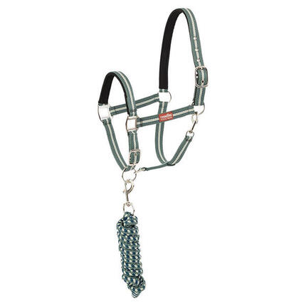 Set aus Halfter und Führstrick mit Karabinerhaken Premiere