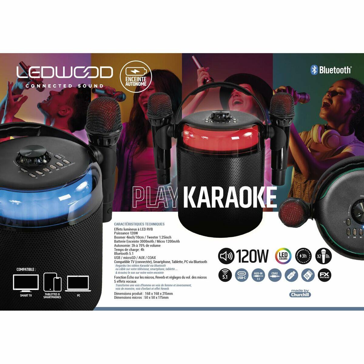 Haut-parleurs LEDWOOD LD-PLAYKARAOKE Bluetooth 4/4