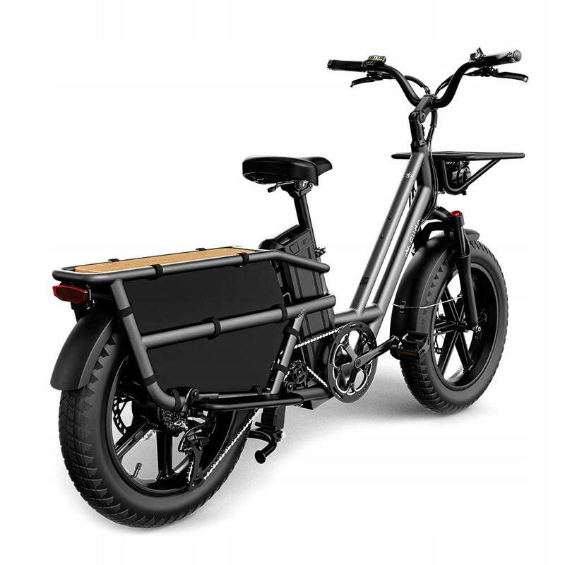 Rower elektryczny Cargo FIIDO T2-2025 (20'') Fatbike Grey 3/7