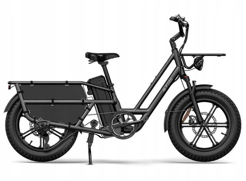 Rower elektryczny Cargo FIIDO T2-2025 (20'') Fatbike Grey 2/7