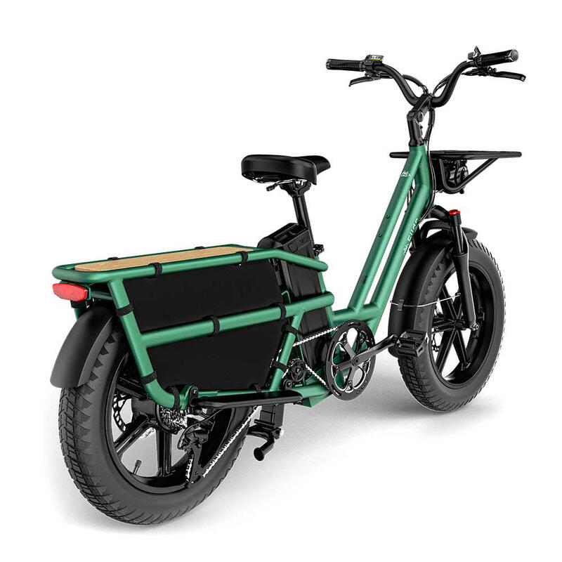 Rower elektryczny Cargo FIIDO T2-2025 (20'') Fatbike Green 3/6