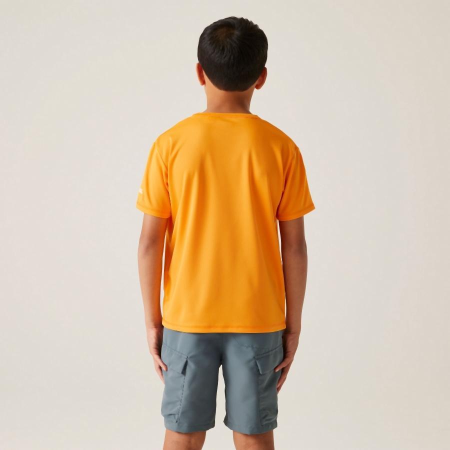 T-shirt per bambini Regatta Alvarado IX 3/7