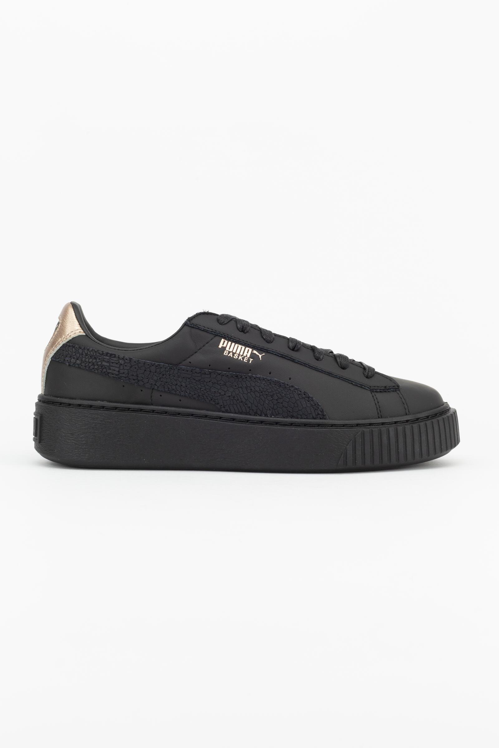 PUMA picture
