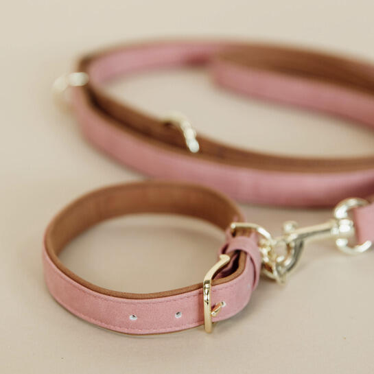 Collier pour chien Vegan Leather - Kentucky 2/7
