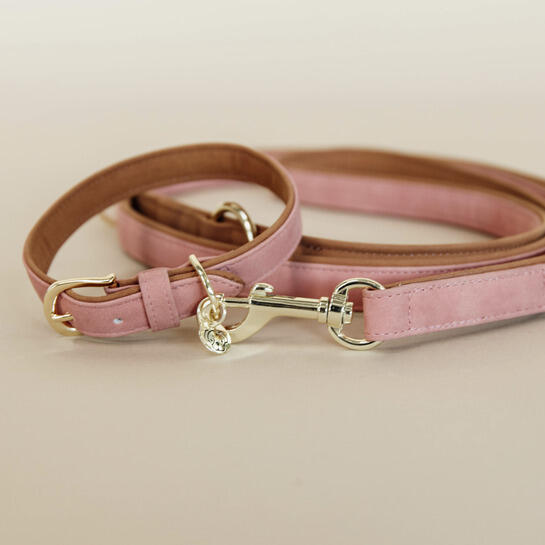 Collier pour chien Vegan Leather - Kentucky 6/7