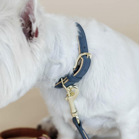 Collare per cani in cuoio vegano Kentucky 5/7