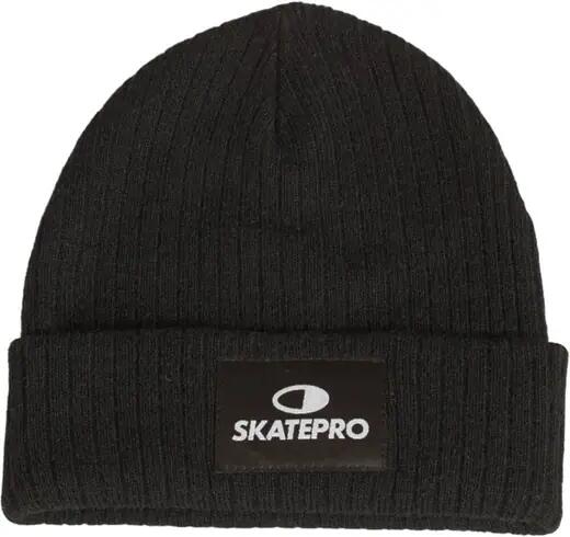 SKATEPRO picture