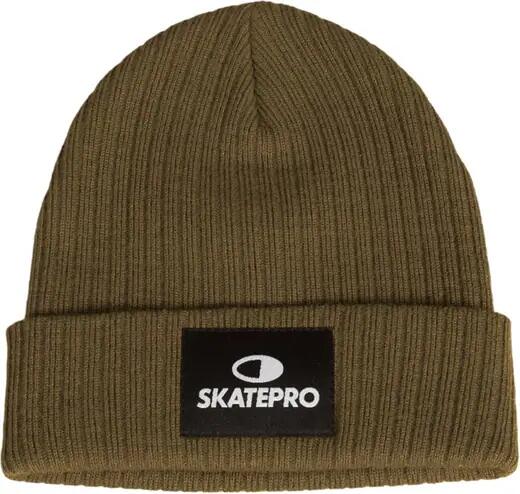 SKATEPRO picture