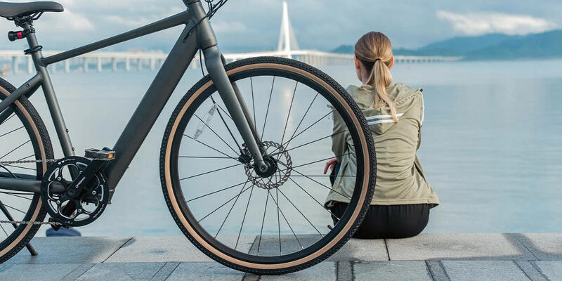 Rower elektryczny gravel miejski Fiido C21 (28'') Grey L 6/8