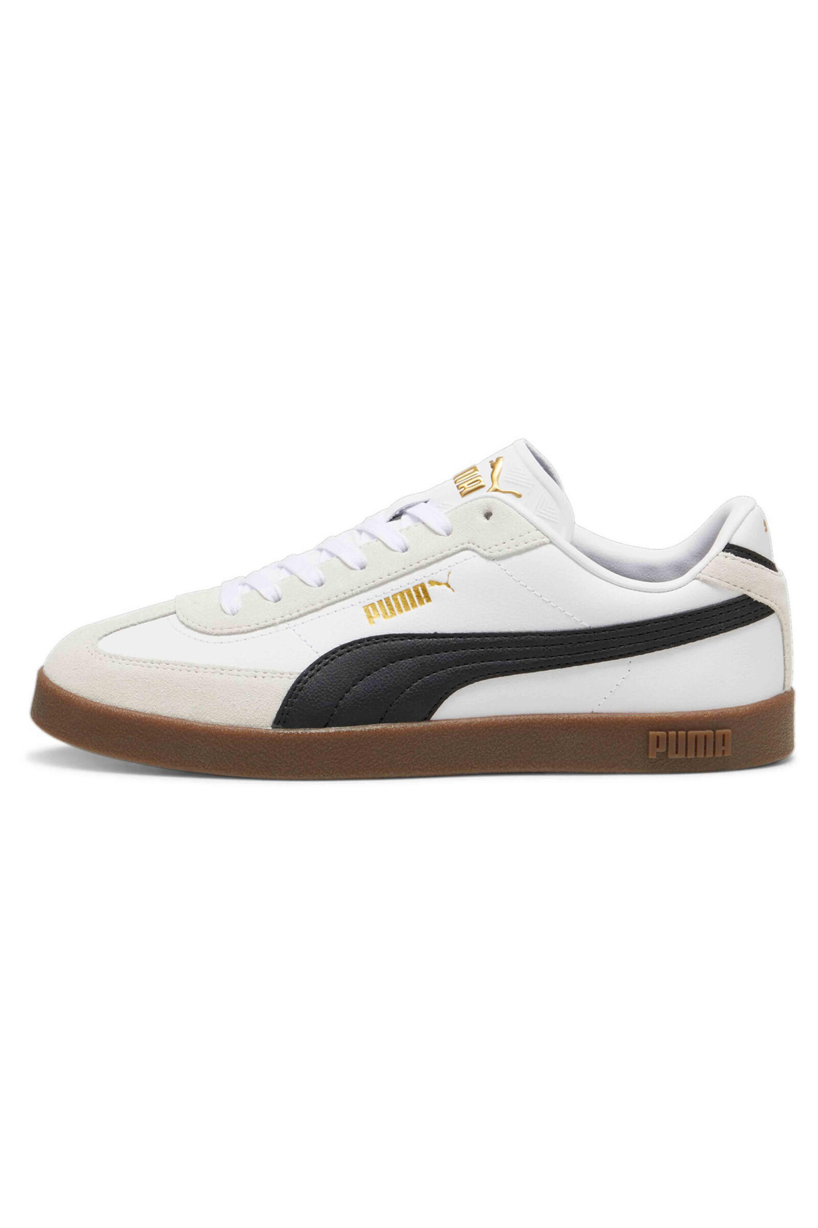 PUMA picture