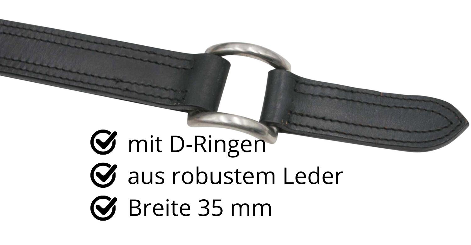 AMKA Aufhalteriemen für Zweispänner 2/4
