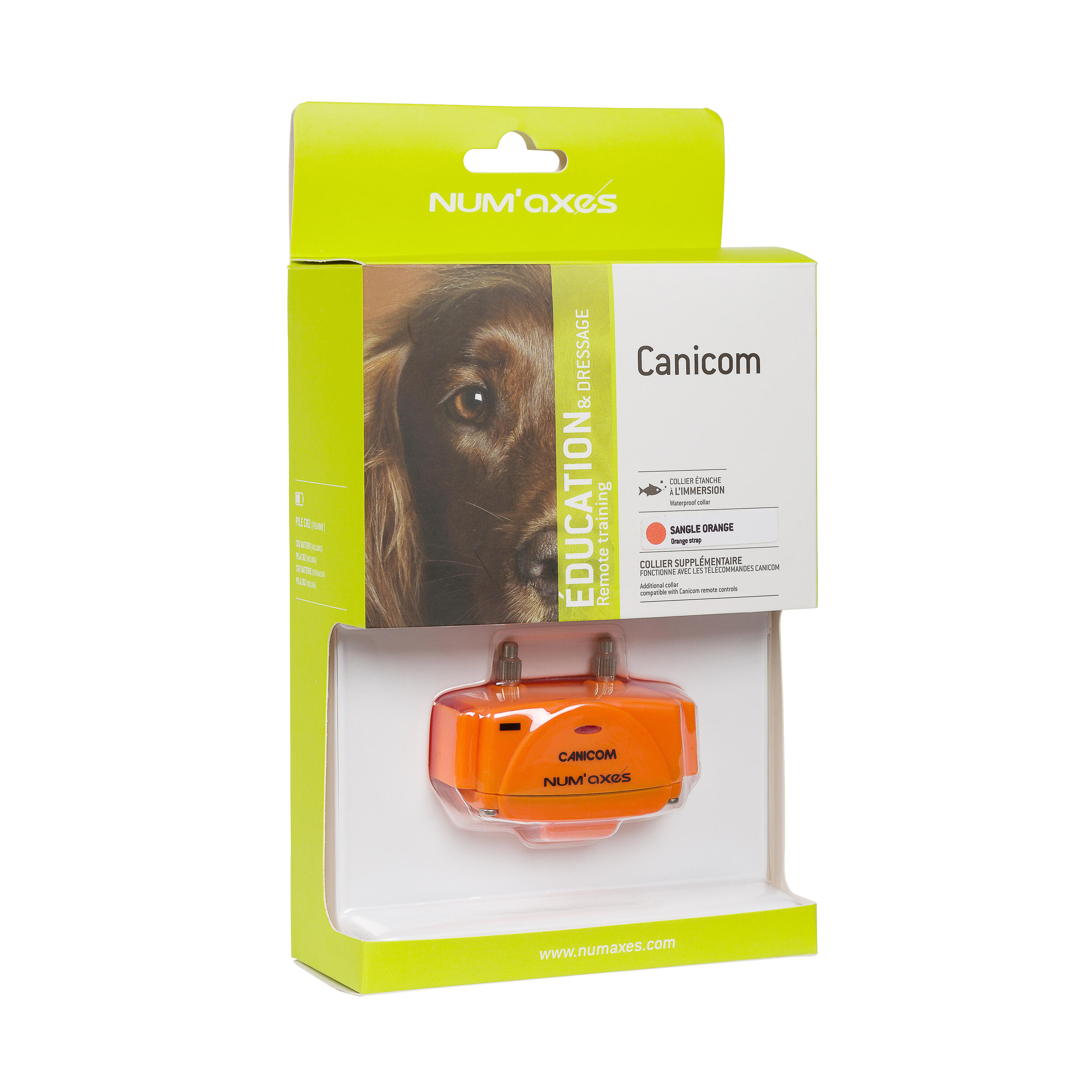 Collier de dressage seul pour chien avec sangle Num'axes Canicom 2/2