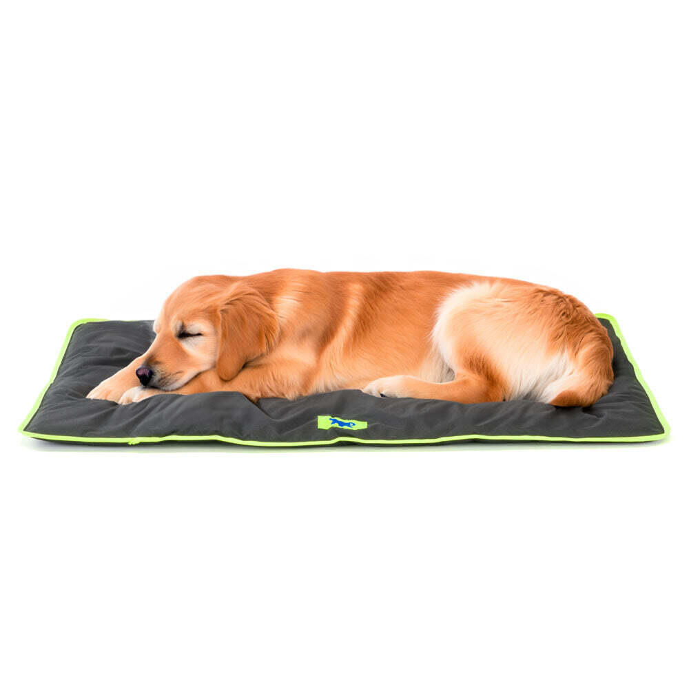 Coussin pour chien Ferplast Jolly 100 2/2