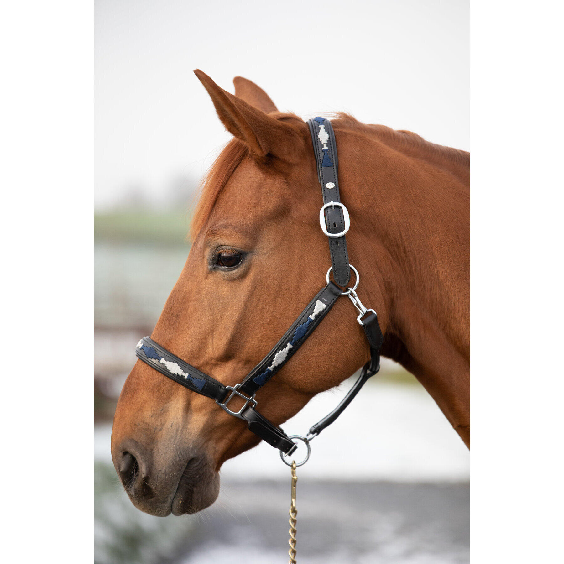 Leren halster voor paarden HFI Polo 3/3