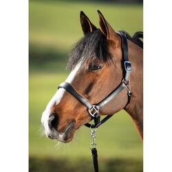 Licol en cuir pour cheval HFI Two-Tone