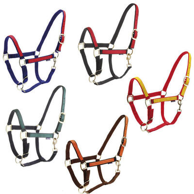 Doppia cavezza in nylon Daslö Roma