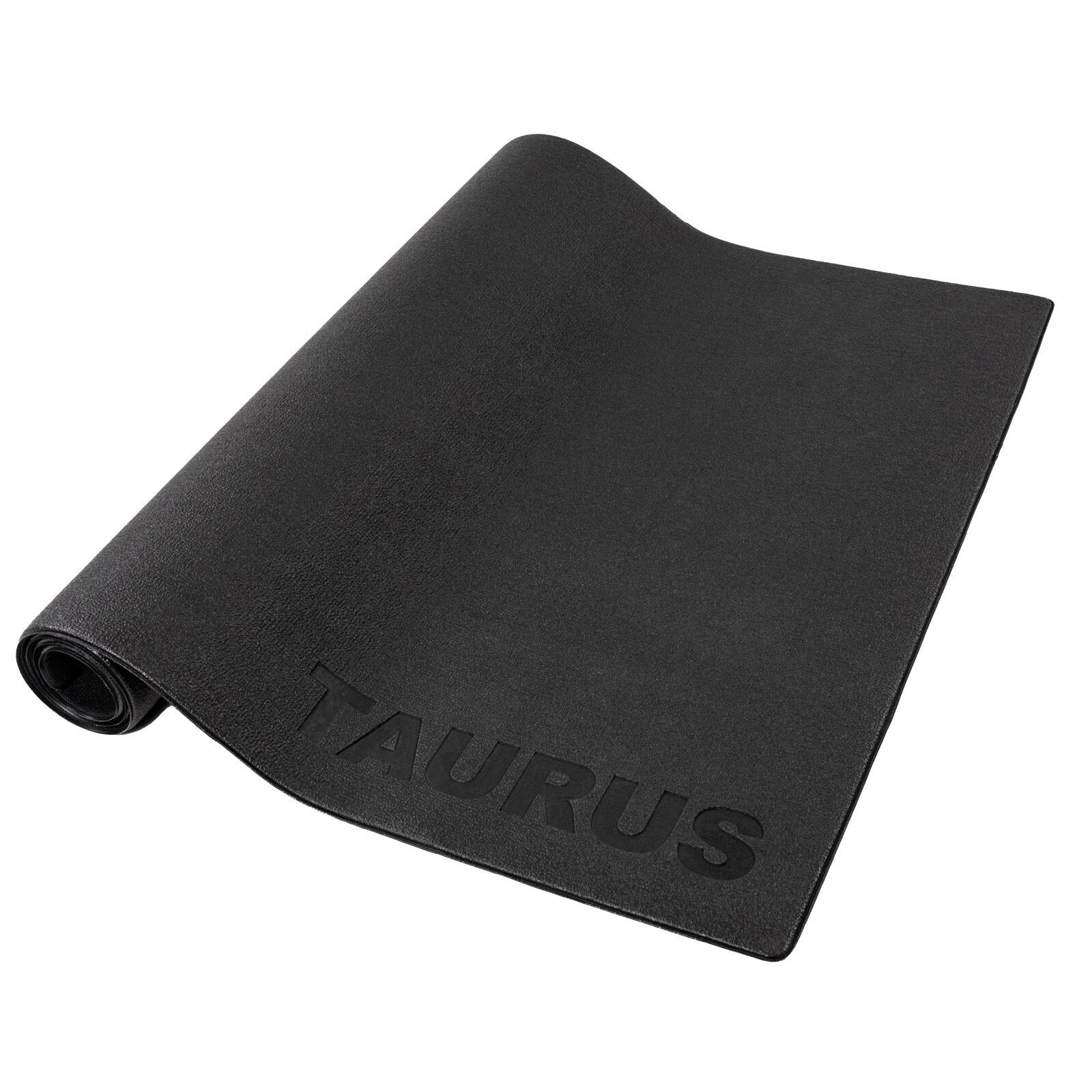 TAURUS picture