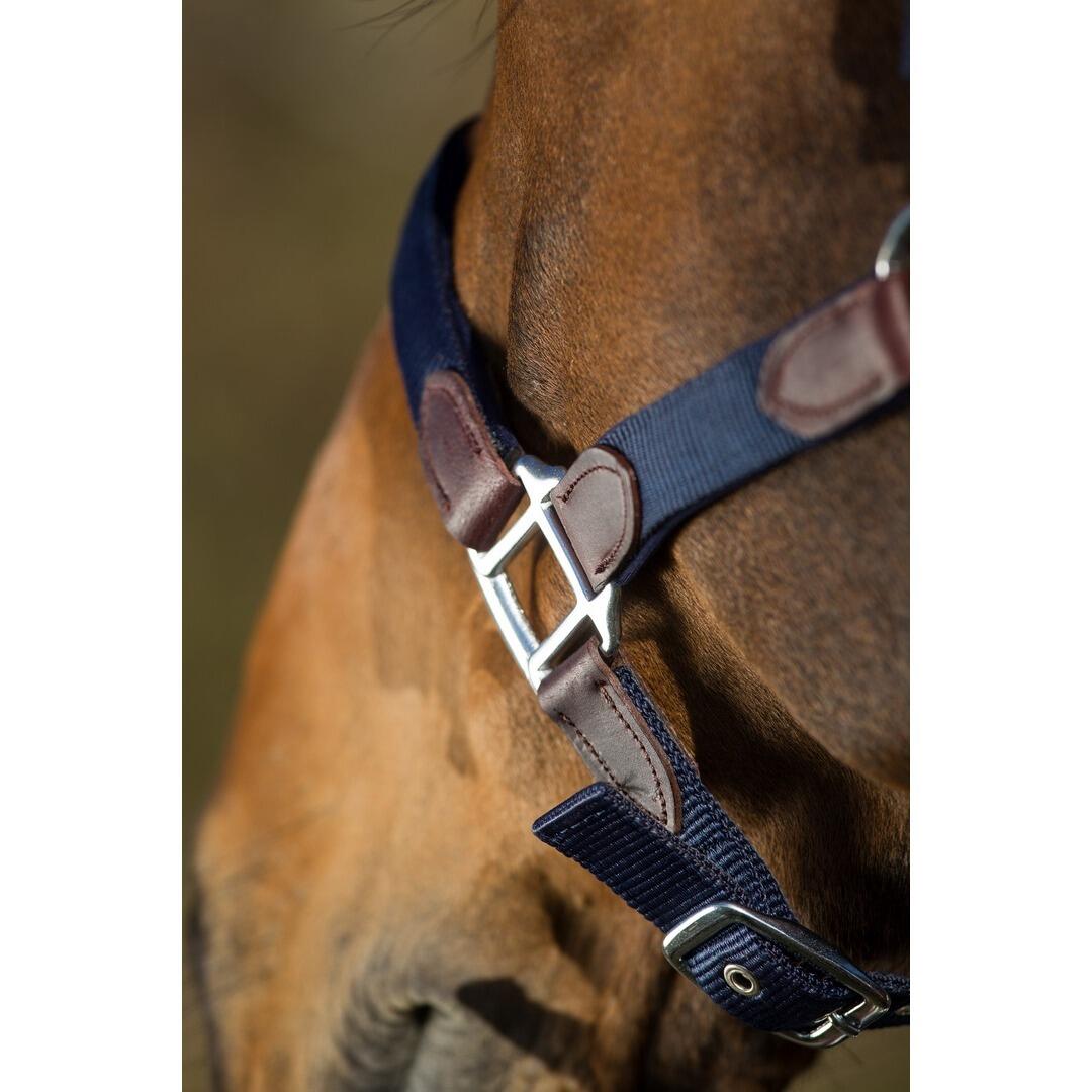 Cabezada Cuadra con cuerda nylon HFI Neoprene Smart 2/3