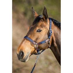 Licol pour cheval avec corde en nylon HFI Neoprene Smart
