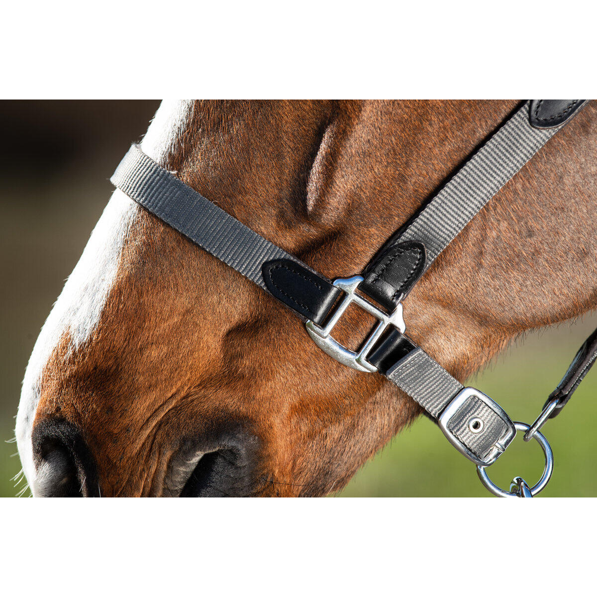 Halfter HFI Neoprene Smart 2/5