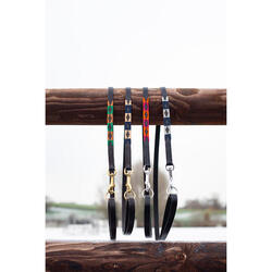 Laisse pour chien HFI Polo