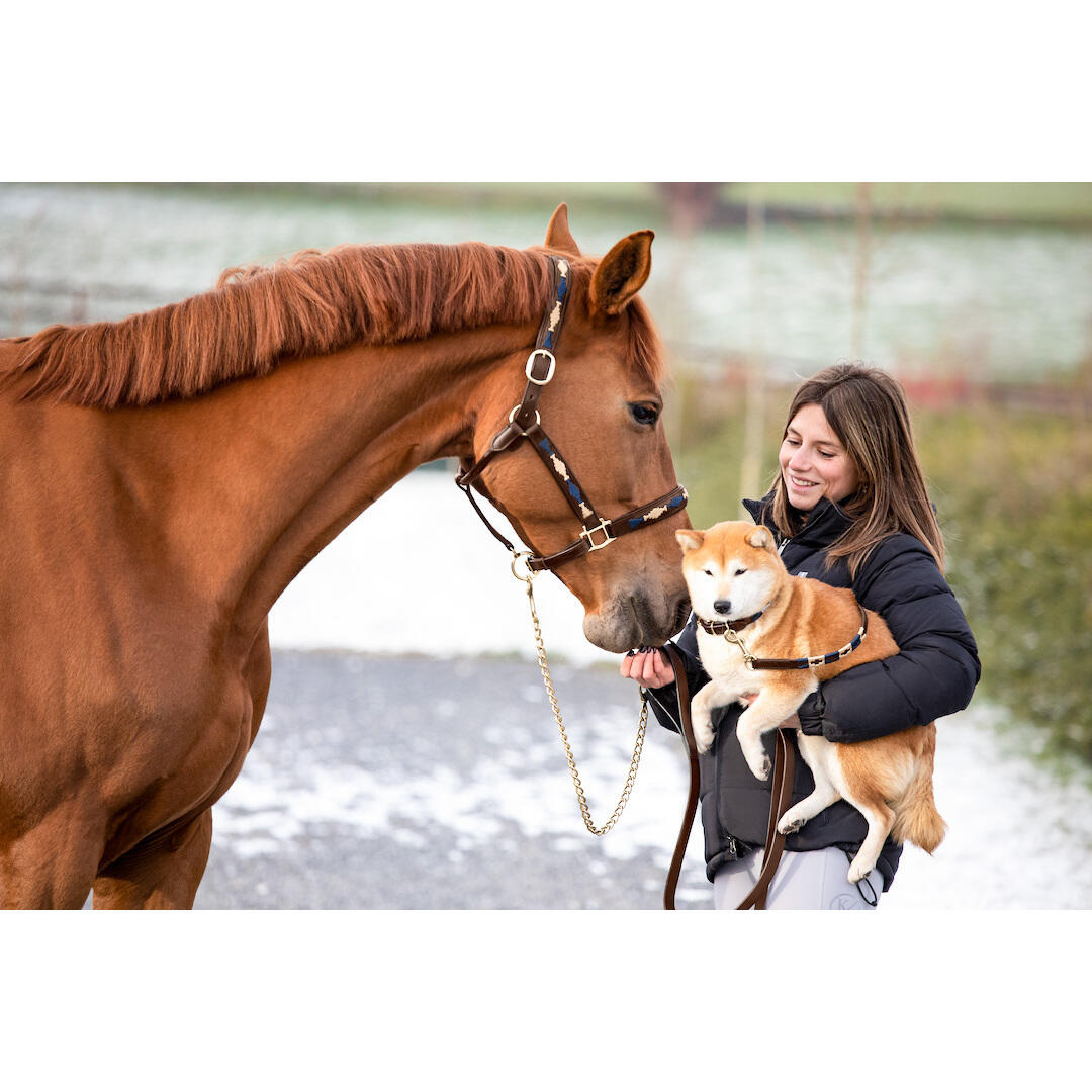 Halfter aus Leder HFI Polo 2/2