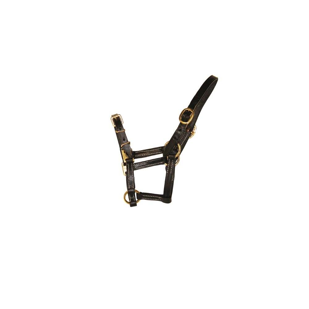 Fine leather halter for horse HFI
