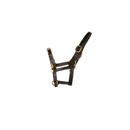 Licol en cuir fin pour cheval HFI