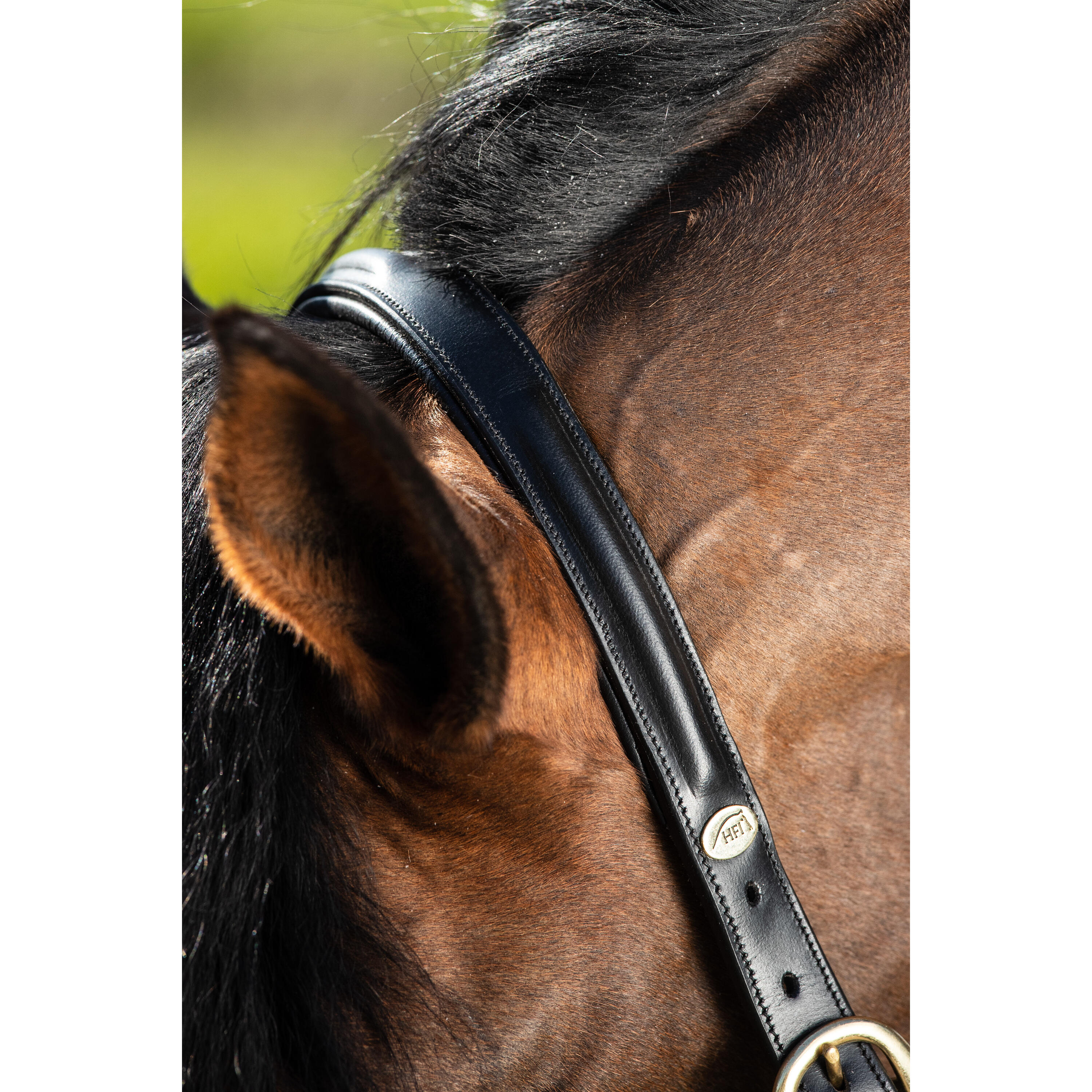 Cabestro de cuero forrado para caballos HFI Raised 2/2