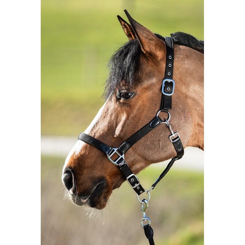 Halter for horse HFI Smart