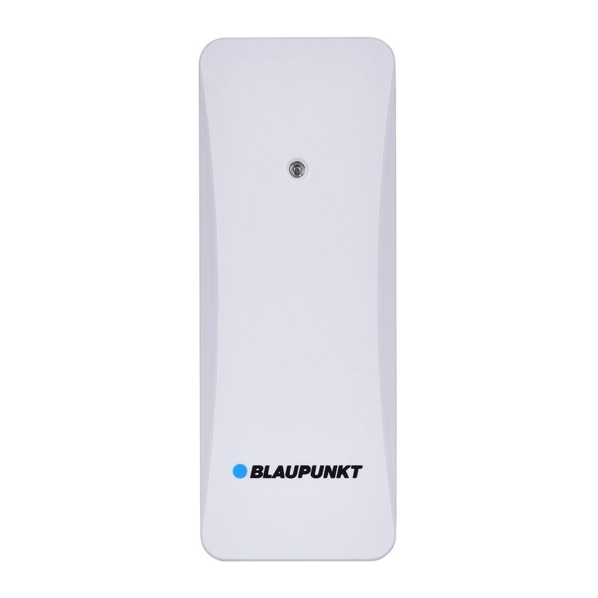 BLAUPUNKT picture