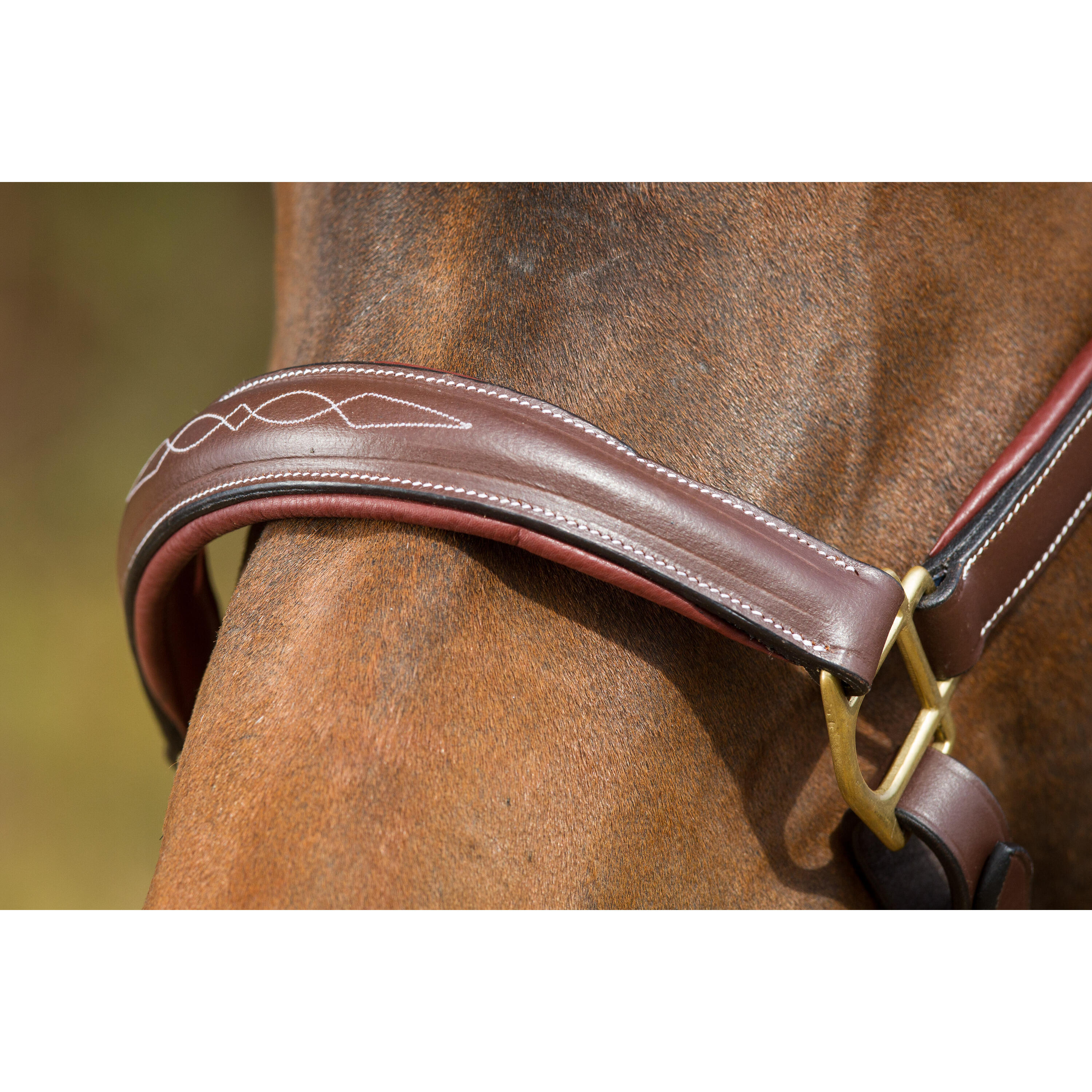 Lederen halster voor paarden HFI Grooming 2/3